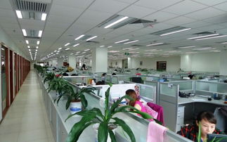 企業(yè)財(cái)務(wù)外包與核心財(cái)稅服務(wù) 代理記賬與稅務(wù)咨詢服務(wù)指南